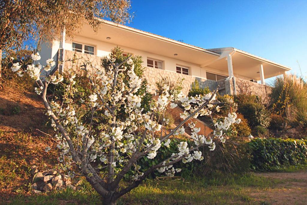Villa Ghiatone Pietrosella Exterior photo